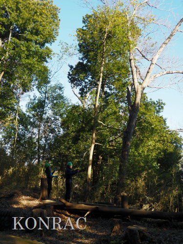 ���R��y��