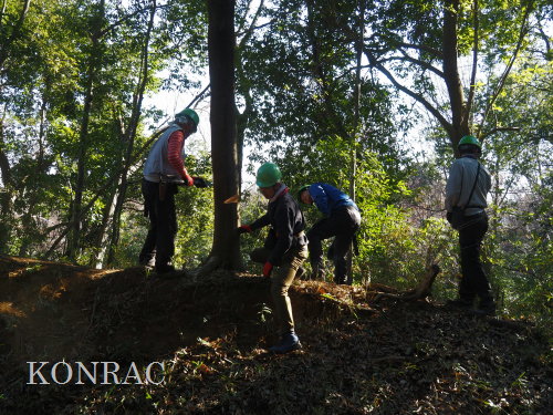 ���R��y��