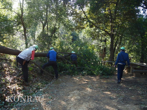 ���R��y��