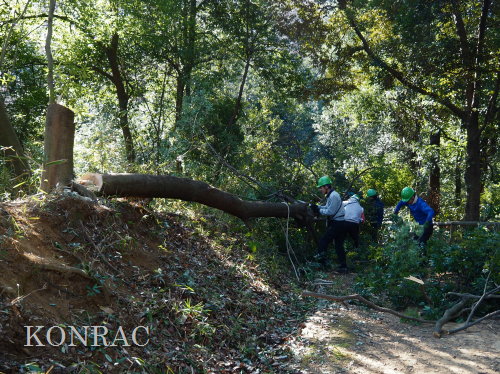 ���R��y��