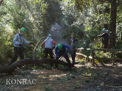 ���R��y��