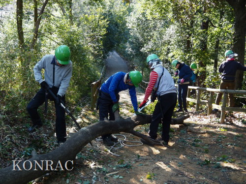 ���R��y��