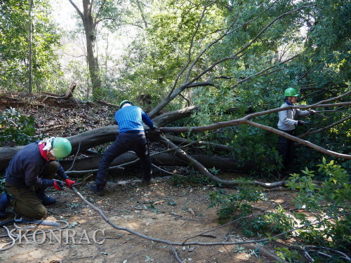 ���R��y��