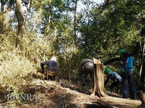 ���R��y��