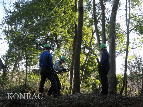 ���R��y��