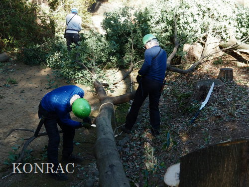 ���R��y��