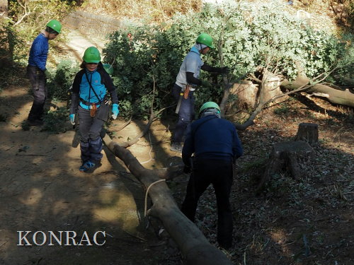 ���R��y��