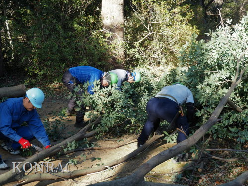 ���R��y��