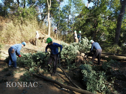 ���R��y��