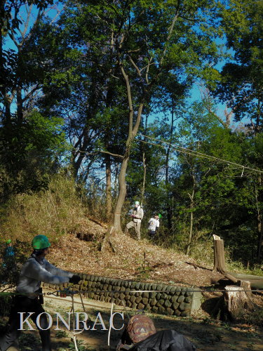 ���R��y��