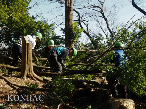 ���R��y��