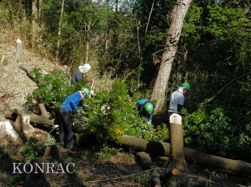 ���R��y��