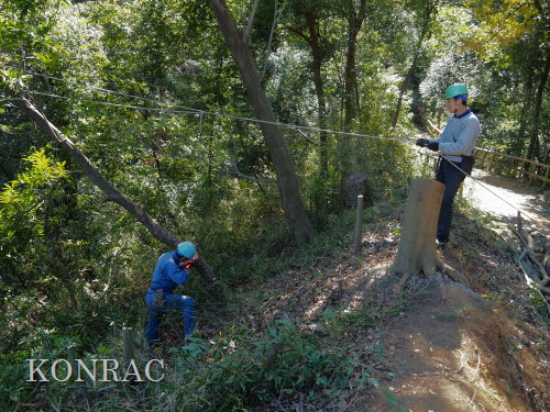 ���R��y��