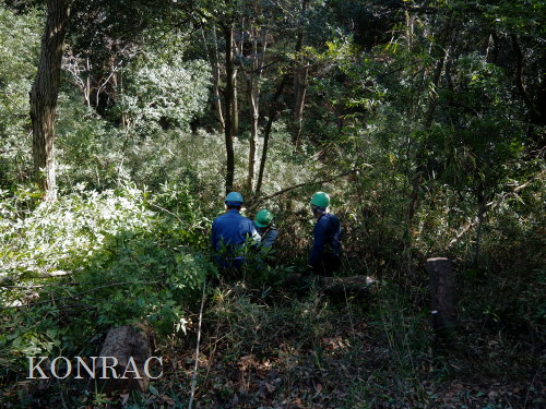 ���R��y��