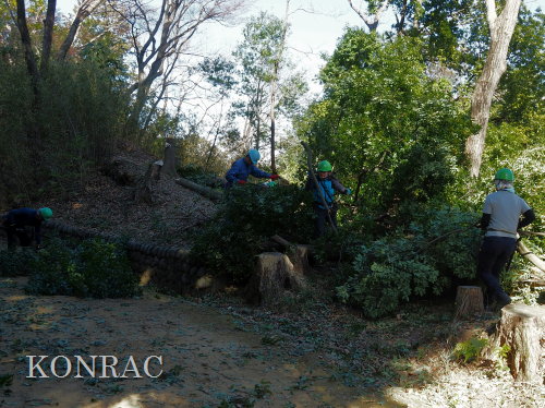 ���R��y��