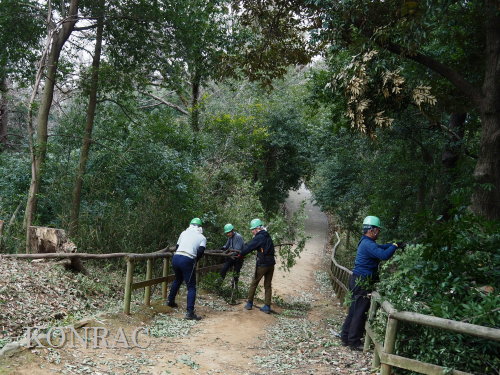 ���R��y��