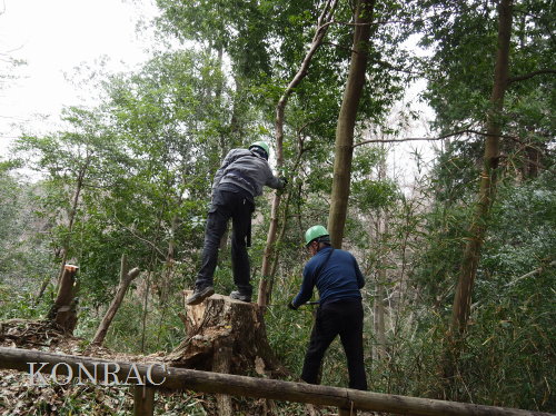 ���R��y��