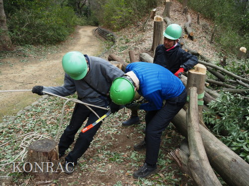 ���R��y��