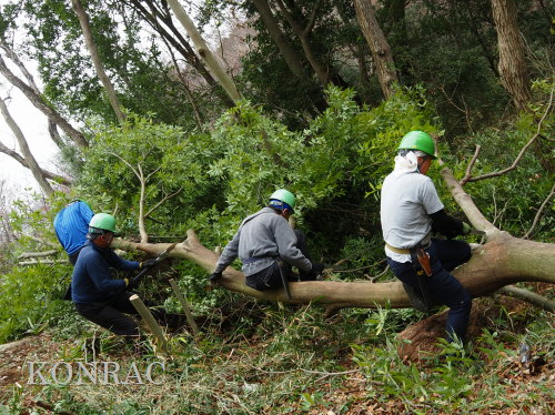 ���R��y��