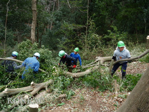 ���R��y��