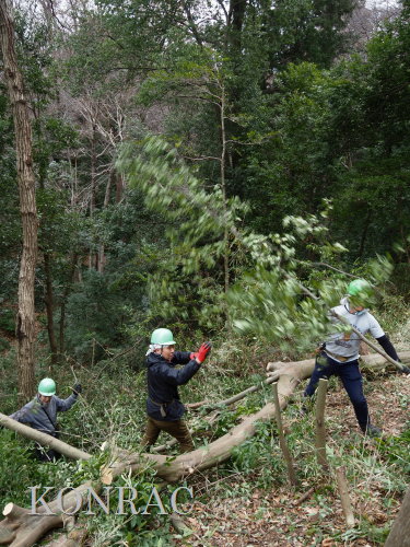 ���R��y��