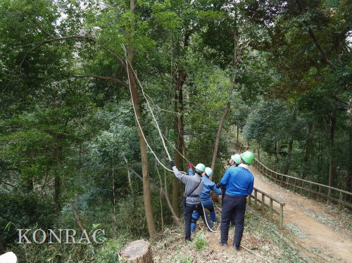 ���R��y��