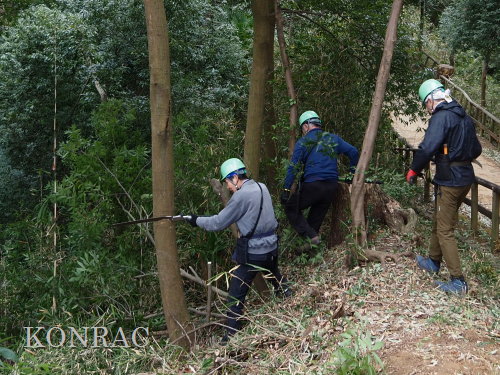 ���R��y��