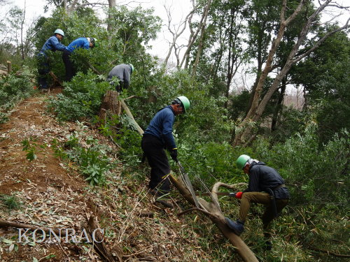 ���R��y��