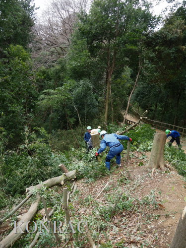 ���R��y��