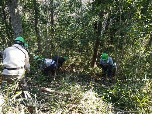 ���R��y��