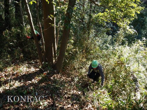 ���R��y��