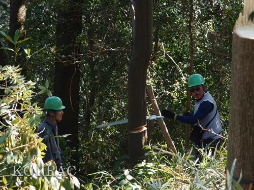 ���R��y��