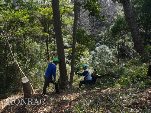 ���R��y��