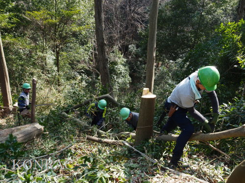 ���R��y��