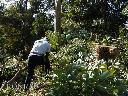 ���R��y��