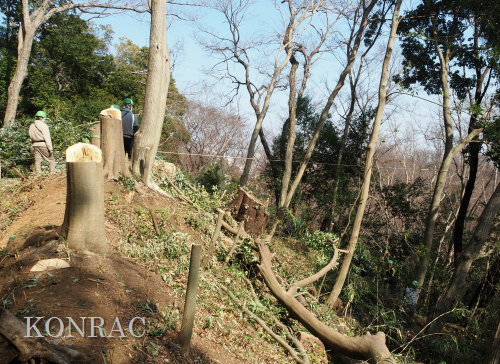 ���R��y��