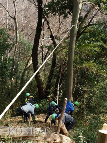 ���R��y��