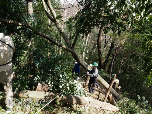 ���R��y��