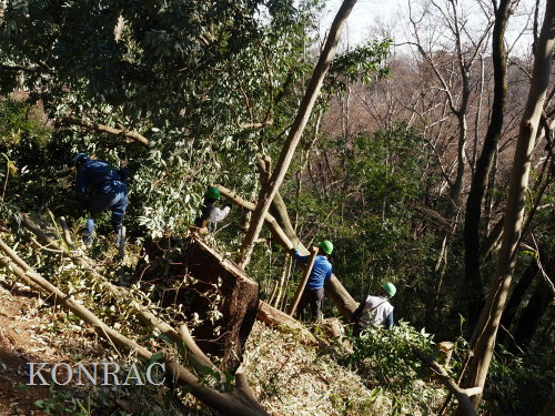 ���R��y��