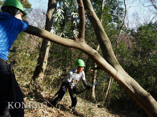 ���R��y��