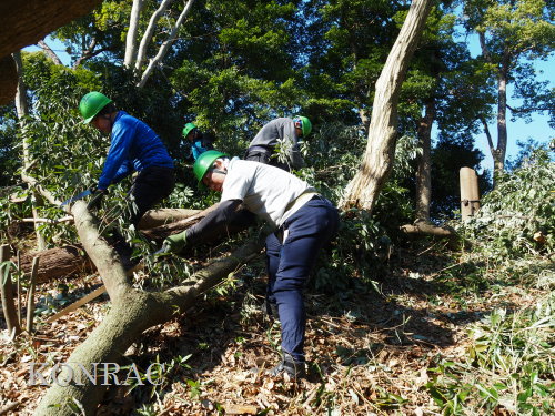 ���R��y��