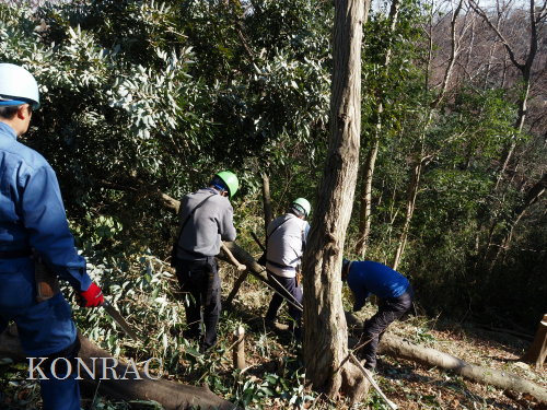 ���R��y��