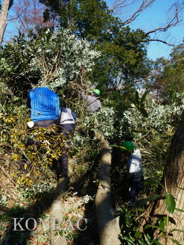 ���R��y��