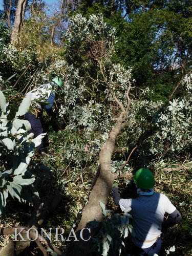 ���R��y��