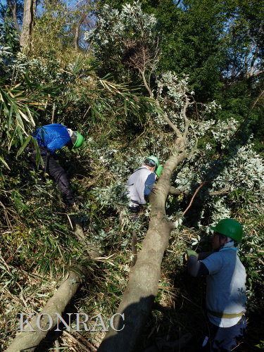 ���R��y��