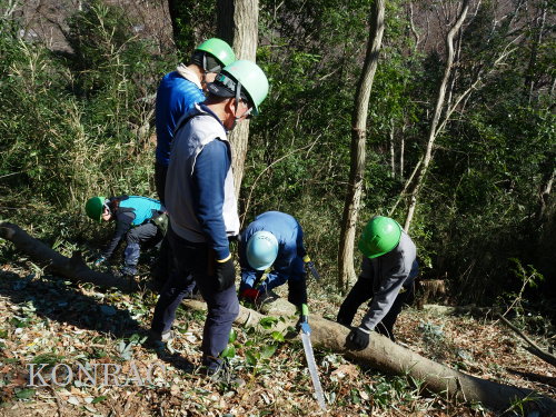 ���R��y��