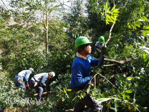 ���R��y��