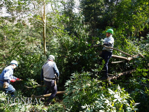 ���R��y��