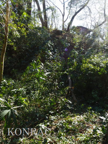 ���R��y��