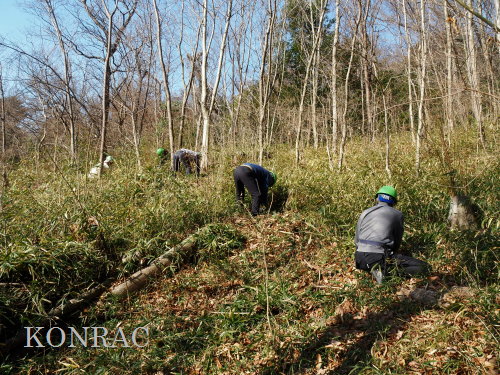 ���R��y��